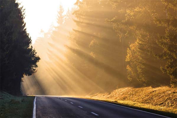 залитая солнцем дорога