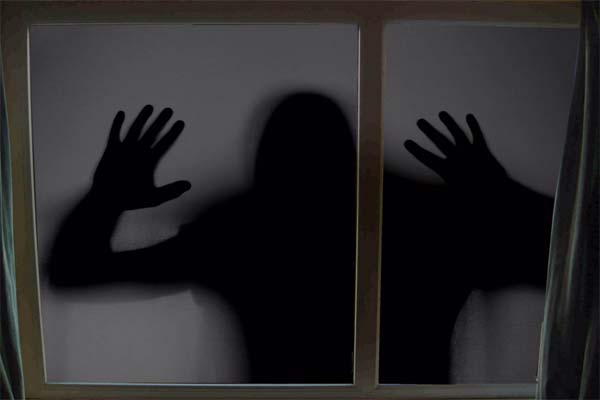 тёмный силуэт в окне