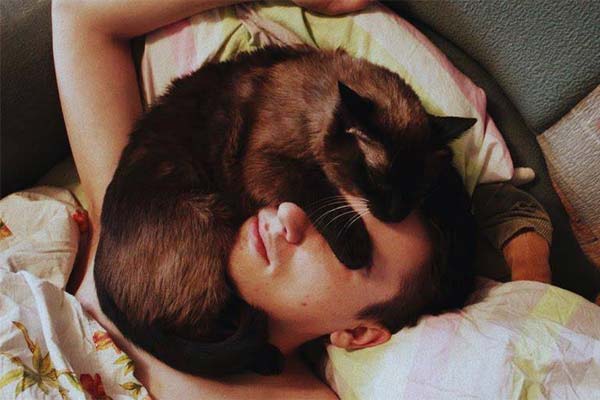 кот на спящем человеке