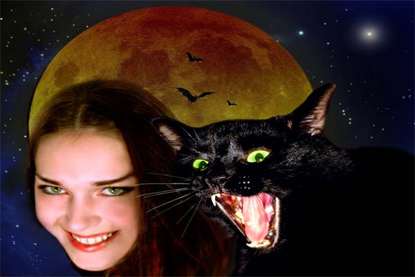 кот и ведьма