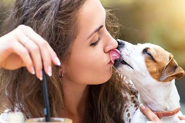 Девушка и пёс