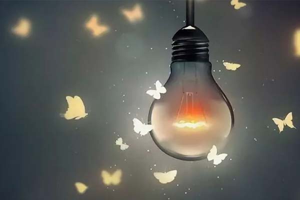мотыльки летают вокруг лампочки