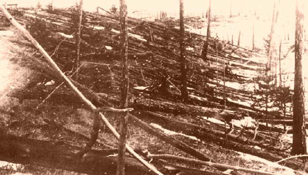 деревья, поваленные взрывом