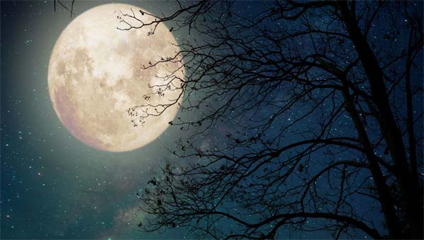 полная Луна