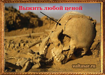 выживание в экстремальных условиях