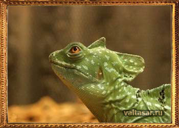 прототип василиска