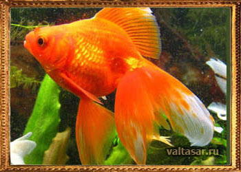 заговоры на рыбалку