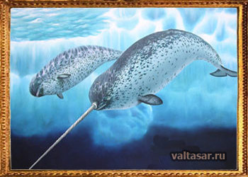 нарвал или морской единорог