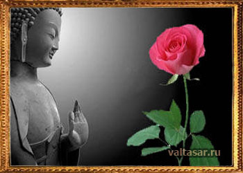 повседневное осознание 