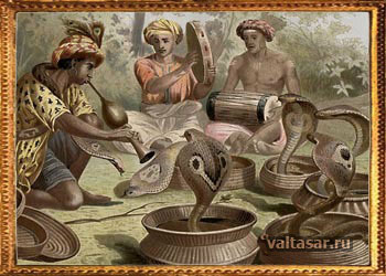 заклинатель змей в действии 