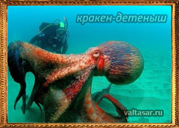 гигантский спрут