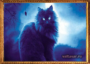 домовой превратился в кота