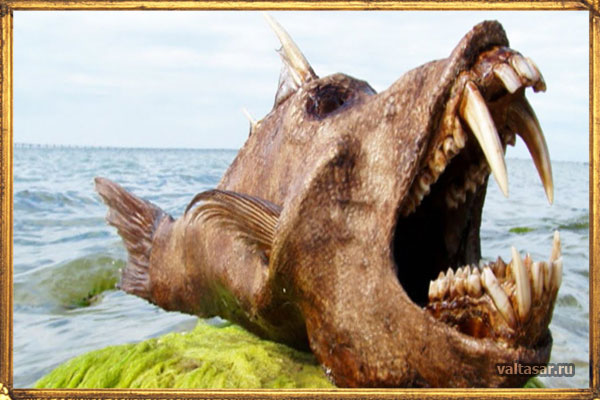 морские монстры, шокирующие своими размерами