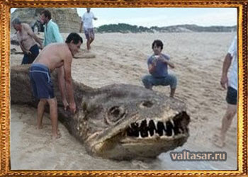 гигантская рыба