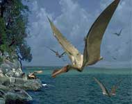 птеродактиль