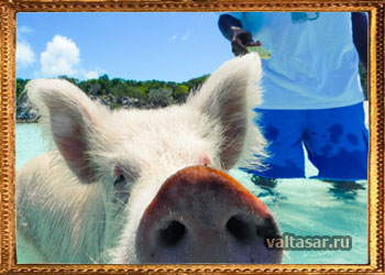 не нужно меня фотографировать!