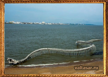 скелет гигантского морского змея