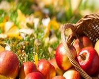 Гороскоп на август