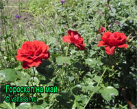 Гороскоп на май