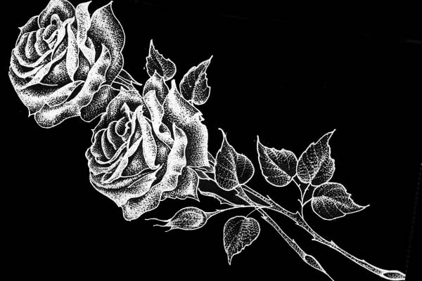 чёрная роза