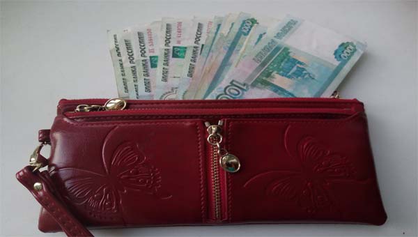 Кошелек с деньгами