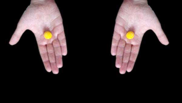 отсутствие свободы выбора