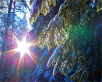 Гороскоп на февраль