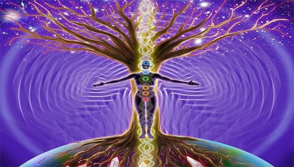 Вселенское Древо и человек