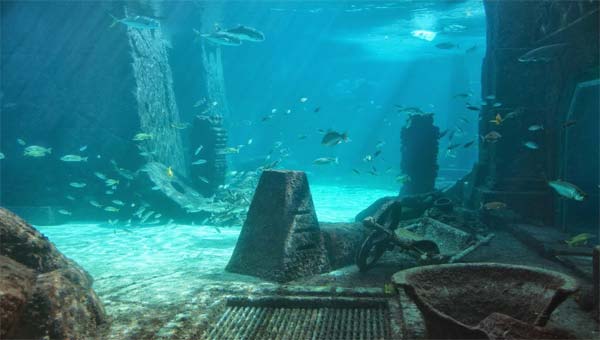 подводные глубины, рыбы