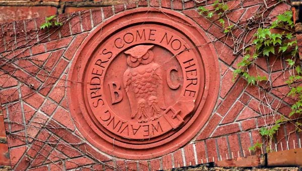 охранный символ с совой