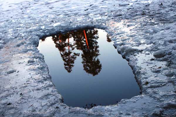прорубь: полынья в реке