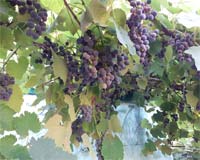 Гороскоп на сентябрь