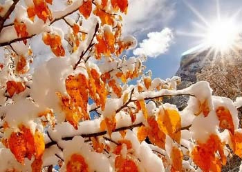 Гороскоп на ноябрь