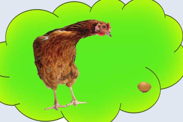 курочка и яичко