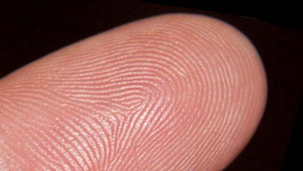 отпечаток пальца