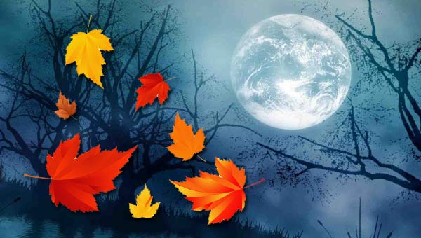 полная Луна в небе и осенние листья