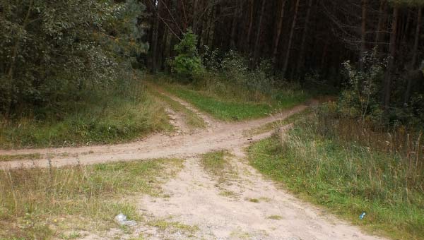 перекресток в лесу