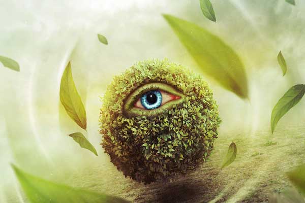 глаз абстракция