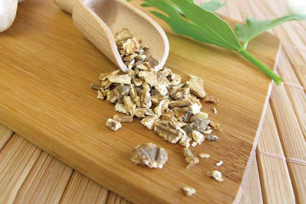 корень любистока