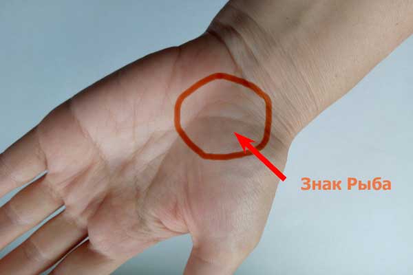 хиромантия, линии руки - знак рыба