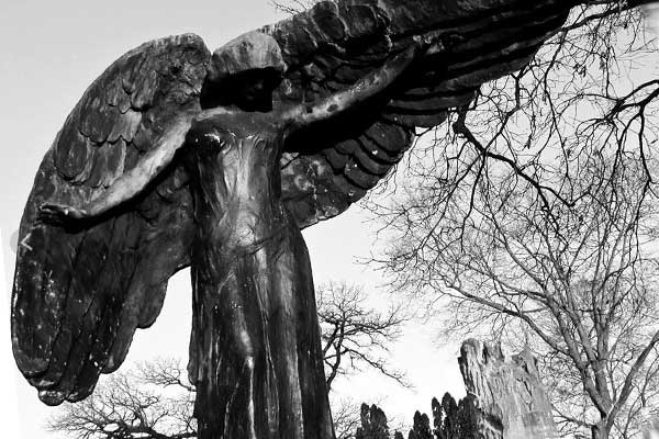 чёрный ангел простёр крылья