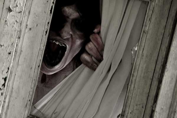 монстр на крыше