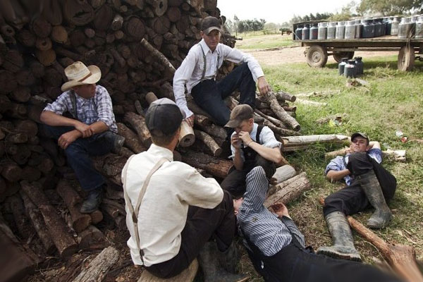 люди на заготовке дров