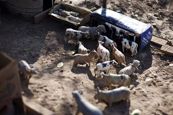 игрушечные коровы