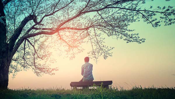 человек медитирует под деревом