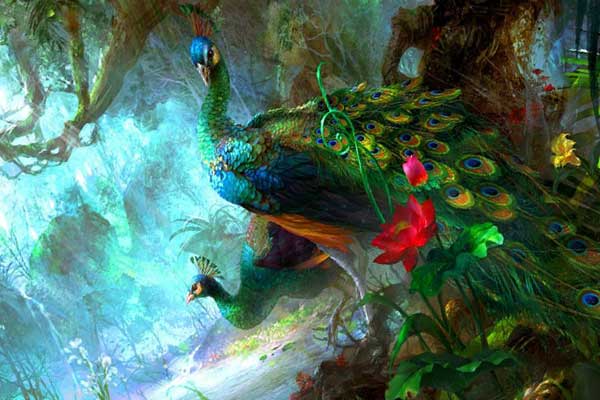 павлины в лесу