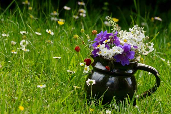 кувшин с цветами в поле