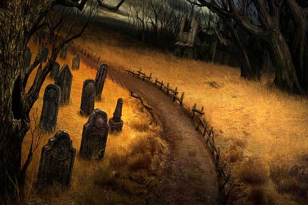 кладбище, могилы поросли травой