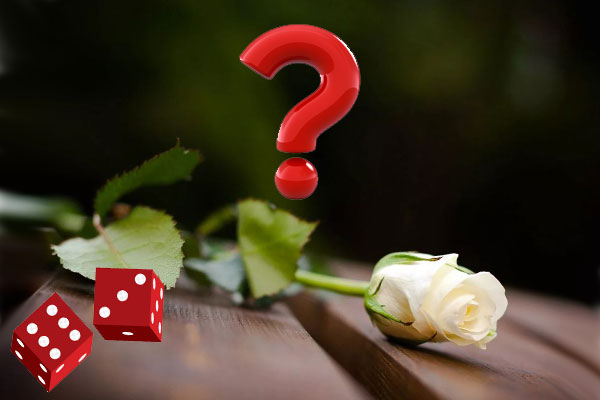 роза и знак вопроса