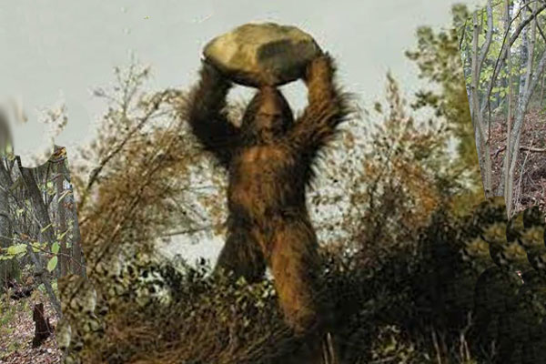 Снежный человек с камнем на фото